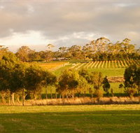 Gosling Creek - Tourism Caloundra