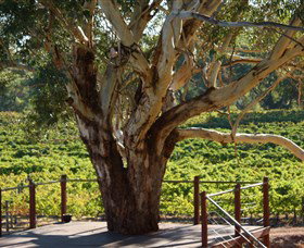 Upper Reach Winery And Cellar Door - Tourism Caloundra 1