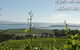 Coal Valley Vineyard - thumb 5