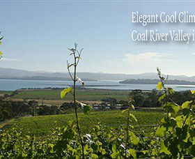 Coal Valley Vineyard - Tourism Caloundra 5