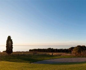 Jack Rabbit Vineyard - Tourism Caloundra 3
