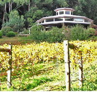 Peveril Vineyard/Beechy Berries - Tourism Caloundra
