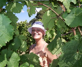 Harcourt Valley Vineyards - Tourism Caloundra 5