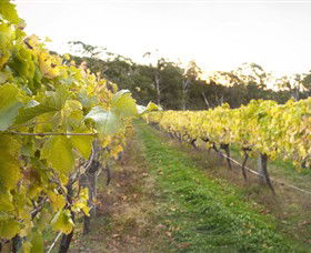 Harcourt Valley Vineyards - Tourism Caloundra 0