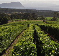 Bream Creek Vineyard - Tourism Caloundra