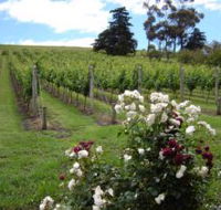 Pembroke Estate Vineyard - Tourism Caloundra