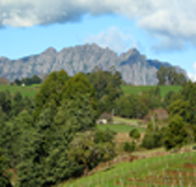 Lake Barrington Vineyard - Tourism Caloundra