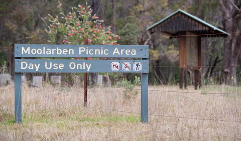 Moolarben Picnic Area - Tourism Caloundra 1