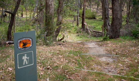 Moolarben Picnic Area - Tourism Caloundra 0