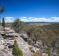 Munghorn Gap Nature Reserve - Tourism Caloundra