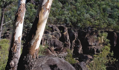 Macintyre Falls Lookout - Tourism Caloundra 3