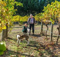 Little River Wines of Taggerty - Tourism Caloundra