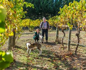 Little River Wines Of Taggerty - Tourism Caloundra 0