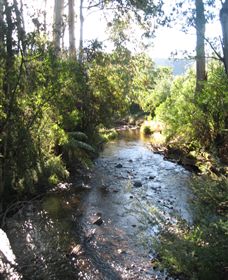 Little River Wines Of Taggerty - Tourism Caloundra 5