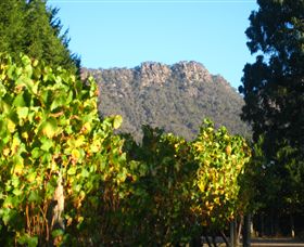 Little River Wines Of Taggerty - Tourism Caloundra 6