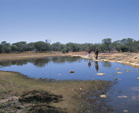 Camel Soak - Tourism Caloundra 0