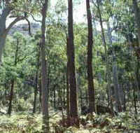 Cathedral Range State Park - Tourism Caloundra