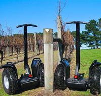 Segway Geelong - Tourism Caloundra