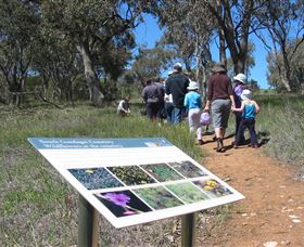 South Gundagai NSW Tourism Caloundra