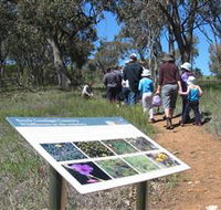 South Gundagai Woodlands Walk - Tourism Caloundra
