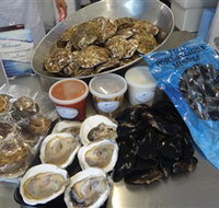 Advance Mussel Supply - Tourism Caloundra