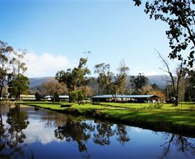 Buxton Trout & Salmon Farm - Tourism Caloundra 0