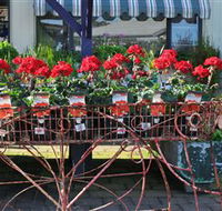 Van Loon's Nursery - Tourism Caloundra