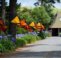 Oakdene Vineyards Restaurant and Cellar Door - Tourism Caloundra