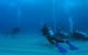 Man And Wife Rocks Dive Site - thumb 0