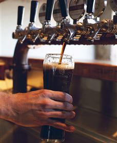 Napoleone Brewery And Ciderhouse - Tourism Caloundra 3