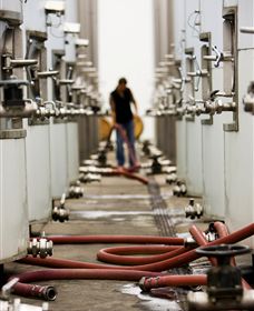 Punt Road Winery - Tourism Caloundra 5
