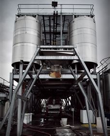 Punt Road Winery - Tourism Caloundra 8