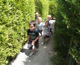 Hedgend Maze And Healesville Laser Sport - Tourism Caloundra 1