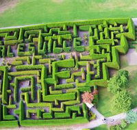 Hedgend Maze and Healesville Laser Sport - Tourism Caloundra