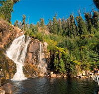 Steavenson Falls Marysville - Tourism Caloundra