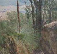 Mount Lawson State Park - Tourism Caloundra