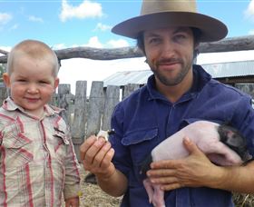 Gleneden Organic Farm And The Gleneden Bullock Team - Tourism Caloundra 2