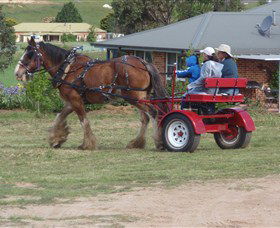 Bathurst Farm Experience - Tourism Caloundra 3