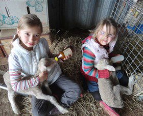 Bathurst Farm Experience - Tourism Caloundra 4