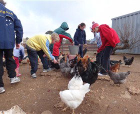 Bathurst Farm Experience - Tourism Caloundra 2