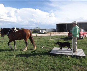 Bathurst Farm Experience - Tourism Caloundra 7