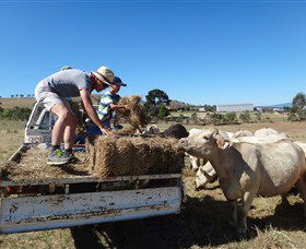 Bathurst Farm Experience - Tourism Caloundra 5