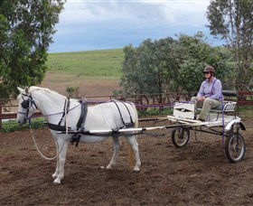 Bathurst Farm Experience - Tourism Caloundra 8