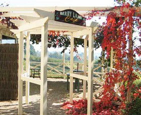 Blue Hills Berries & Cherries - Tourism Caloundra 1