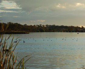 Lake Inverell Reserve - Tourism Caloundra 0