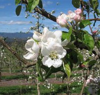 Mouat's Farm - Tourism Caloundra