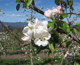 Mouat's Farm - Tourism Caloundra 0