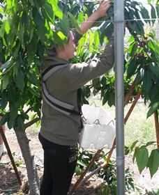 Mouat's Farm - Tourism Caloundra 4