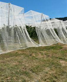 Mouat's Farm - Tourism Caloundra 5