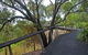Canoe Point Beach And Parklands - thumb 0